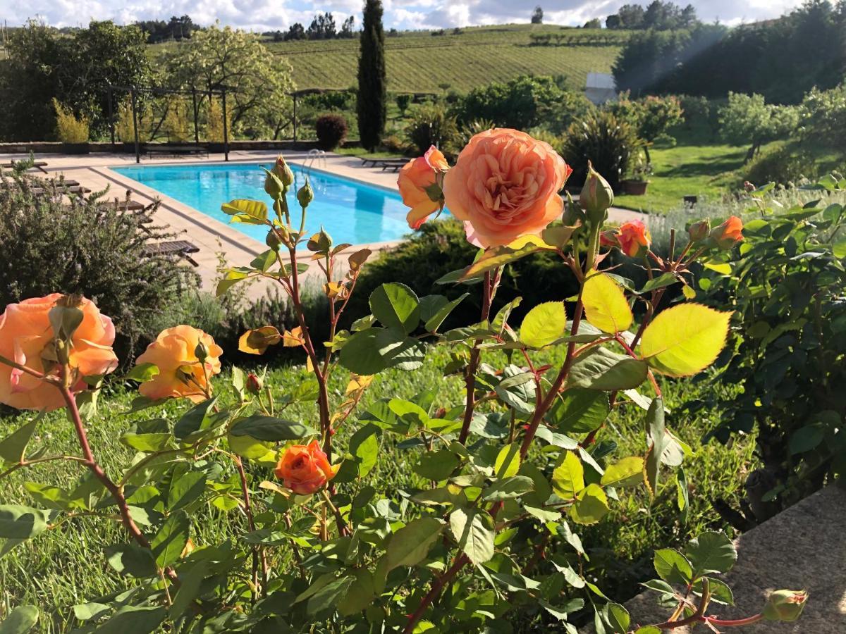 Quinta Da Pereira E Enricas Agro-Turismo Hotell Vila Flor Exteriör bild