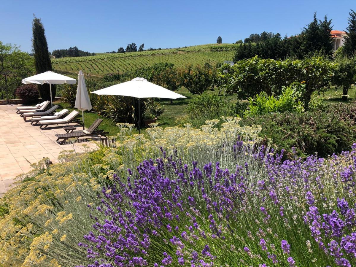 Quinta Da Pereira E Enricas Agro-Turismo Hotell Vila Flor Exteriör bild