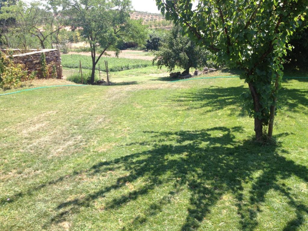 Quinta Da Pereira E Enricas Agro-Turismo Hotell Vila Flor Exteriör bild
