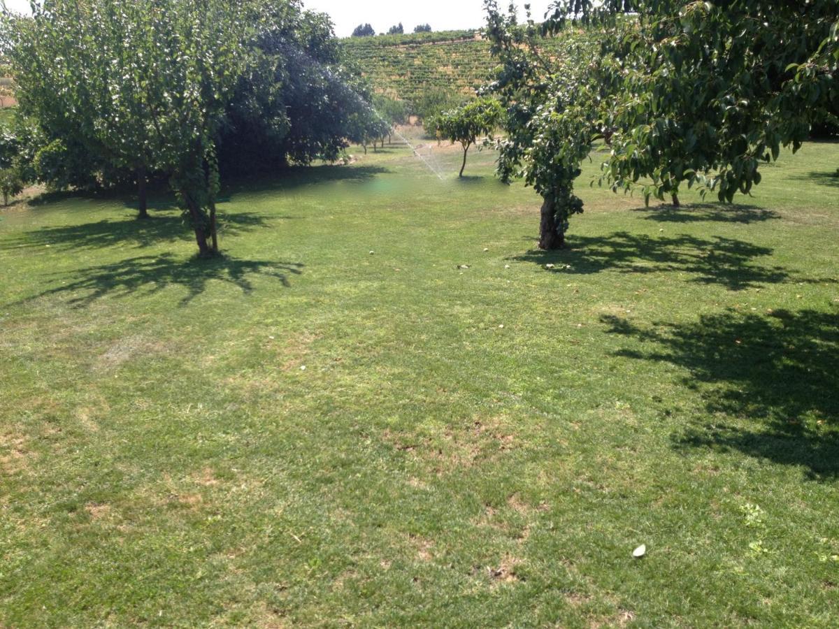 Quinta Da Pereira E Enricas Agro-Turismo Hotell Vila Flor Exteriör bild